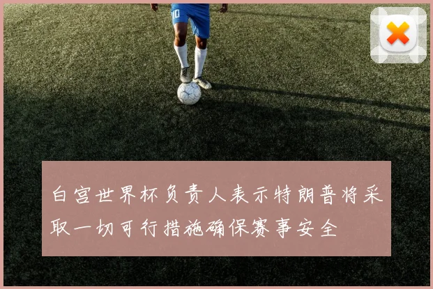 白宫世界杯负责人表示特朗普将采取一切可行措施确保赛事安全