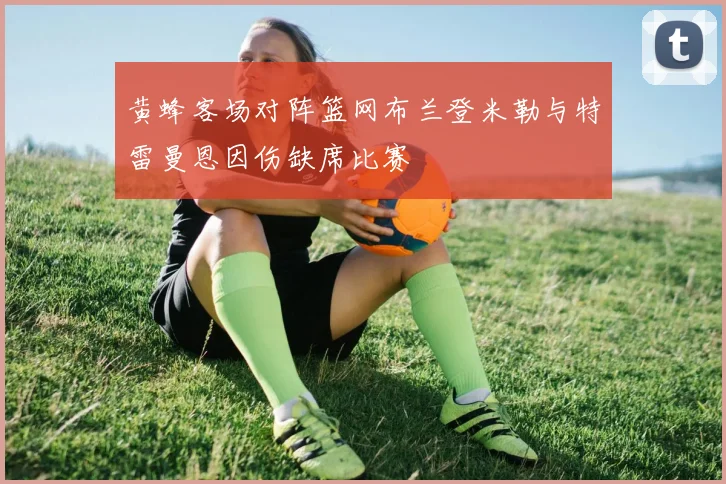 黄蜂客场对阵篮网布兰登米勒与特雷曼恩因伤缺席比赛