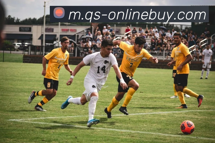 在线买球网站平台生态图