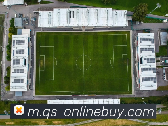 在线买球网站全站App